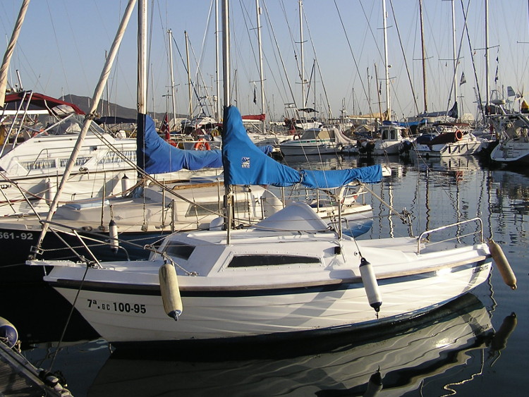 Guanchito in a marina in the Canary Islands